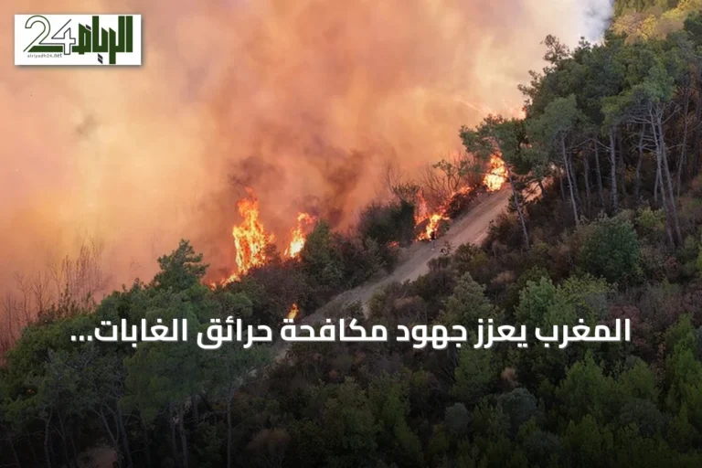 المغرب يعزز جهود مكافحة حرائق الغابات بالطائرات المسيرة وأنظمة الإنذار المبكر