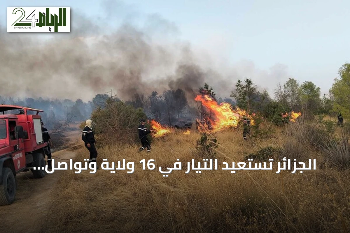 الجزائر تستعيد التيار في 16 ولاية وتواصل مكافحة 19 حريقًا amid موجة حر شديدة