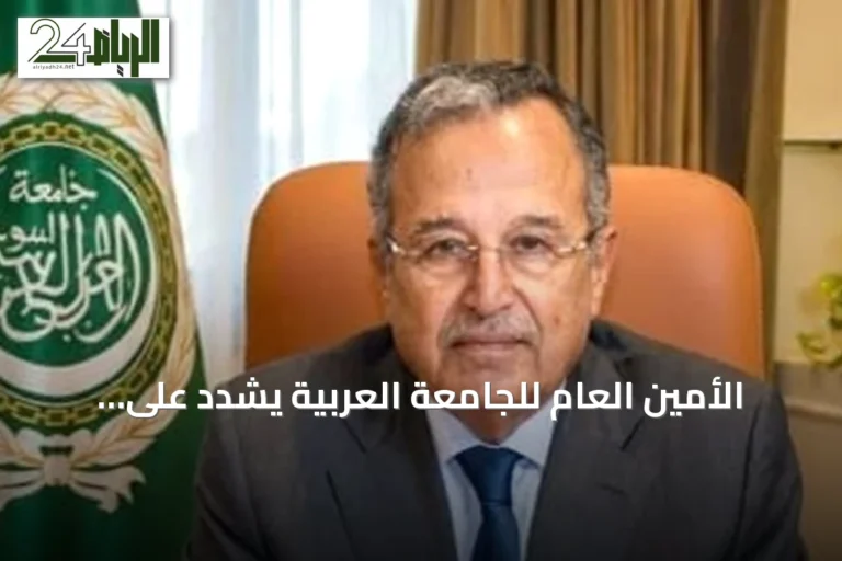 الأمين العام للجامعة العربية يشدد على وحدة السودان ورفض التدخلات الأجنبية