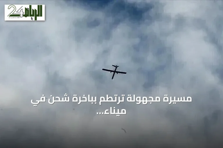 مسيّرة مجهولة ترتطم بباخرة شحن في ميناء البصرة دون انفجار