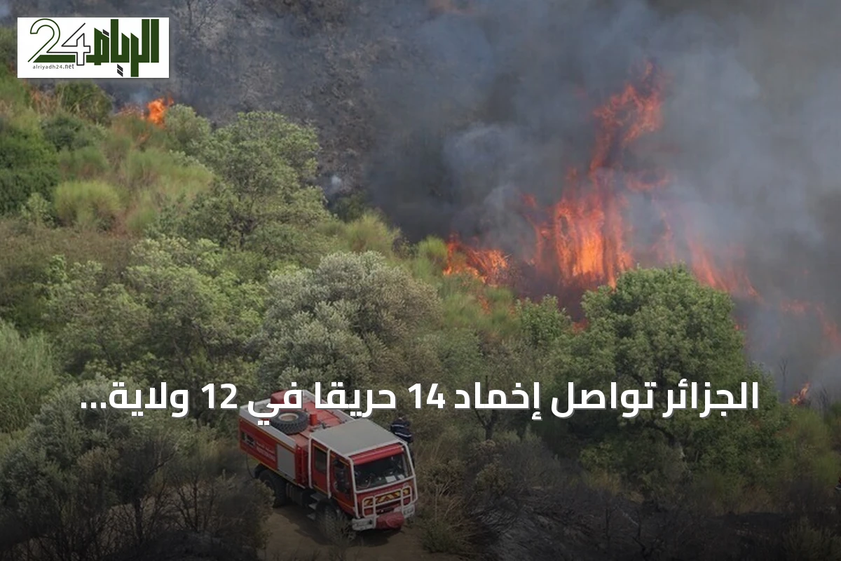الجزائر تواصل إخماد 14 حريقاً في 12 ولاية مع اقتراب الحرارة من 48 درجة مئوية