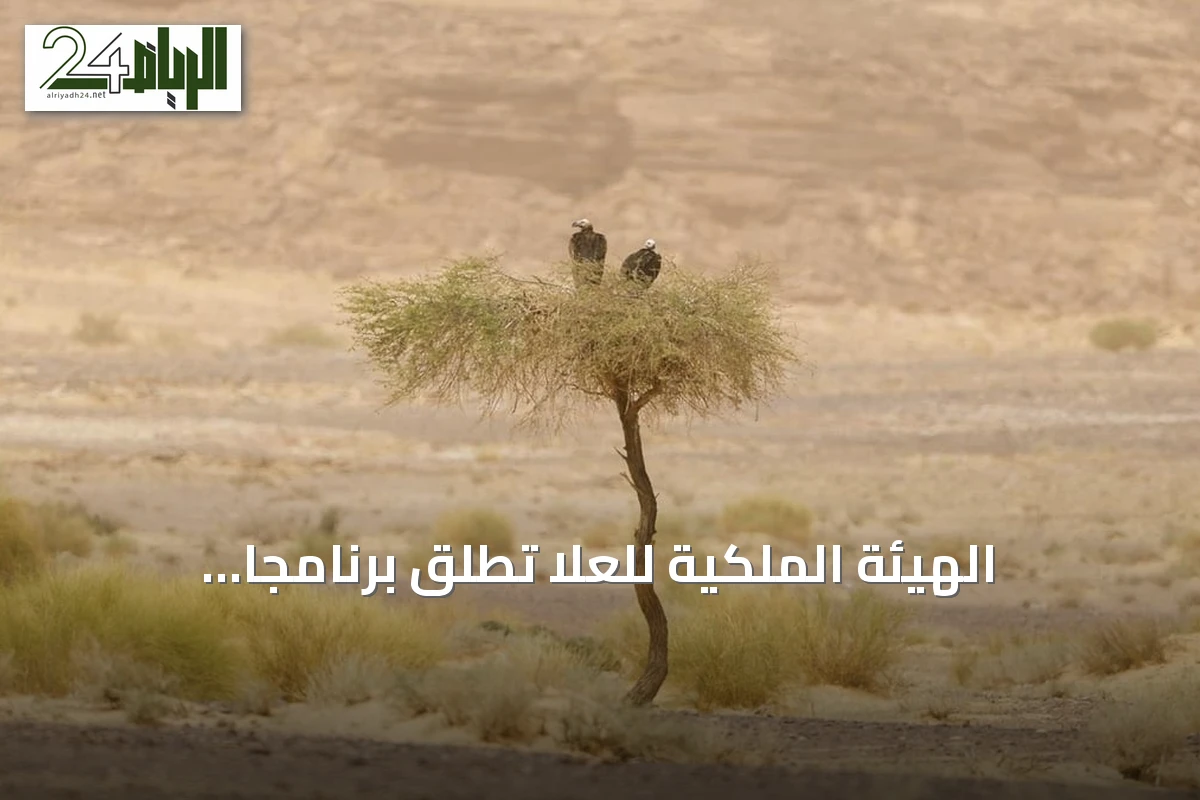 الهيئة الملكية للعُلا تطلق برنامجاً مبتكراً لتتبع نسر الأذون بالشراكة مع كاوست