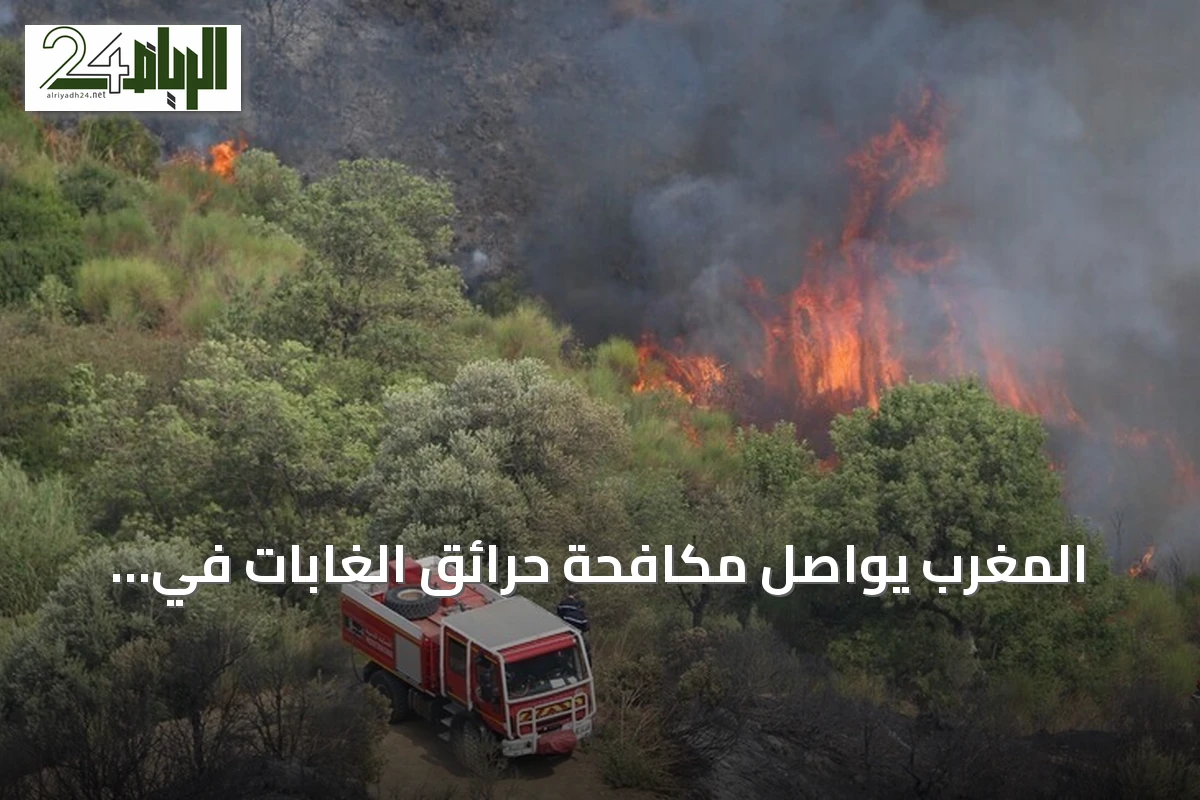 المغرب يواصل مكافحة حرائق الغابات في تارودانت والحوز لليوم الثاني