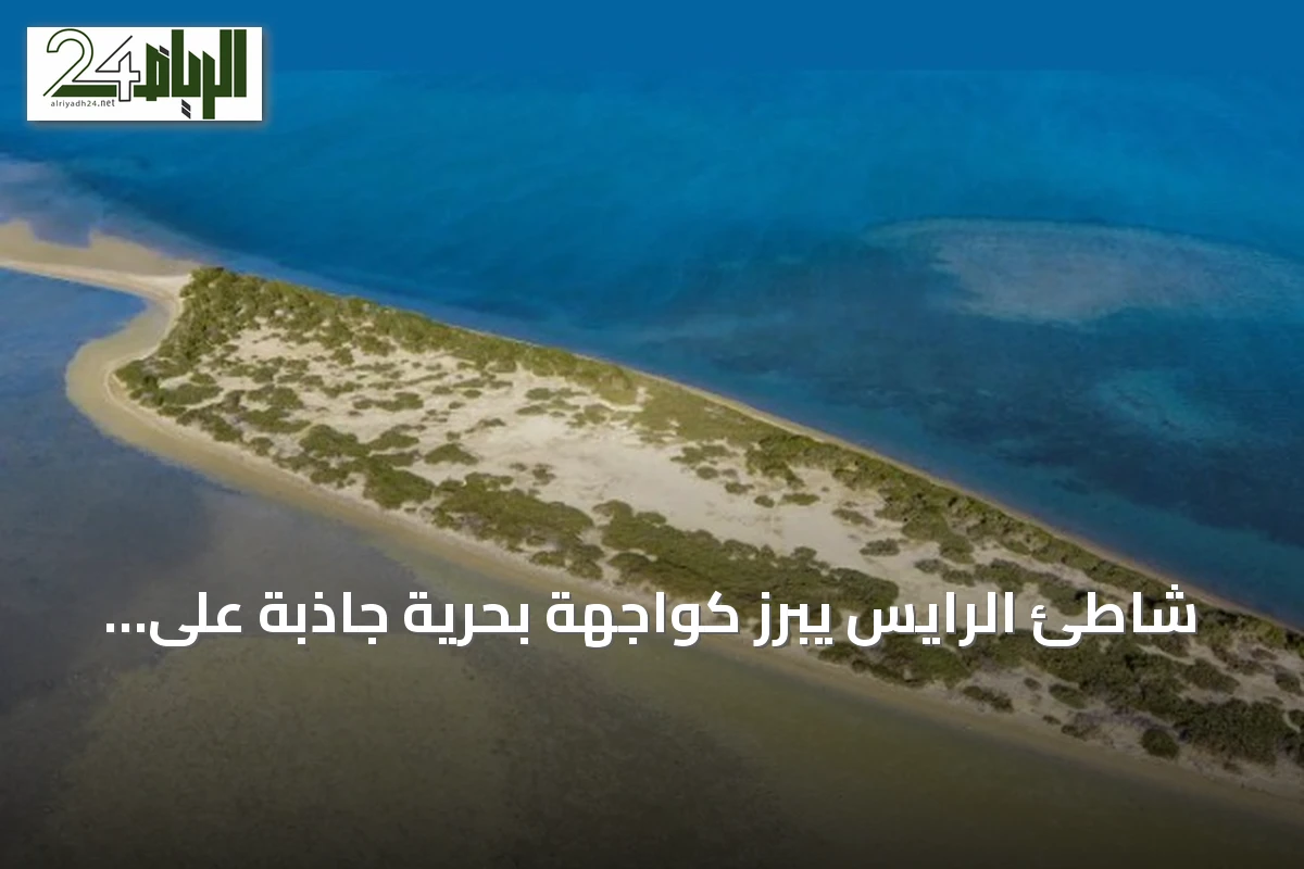 شاطئ الرايس يبرز كواجهة بحرية جاذبة على ساحل البحر الأحمر