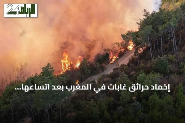 إخماد حرائق غابات في المغرب بعد اتساعها على أكثر من مئة هكتار