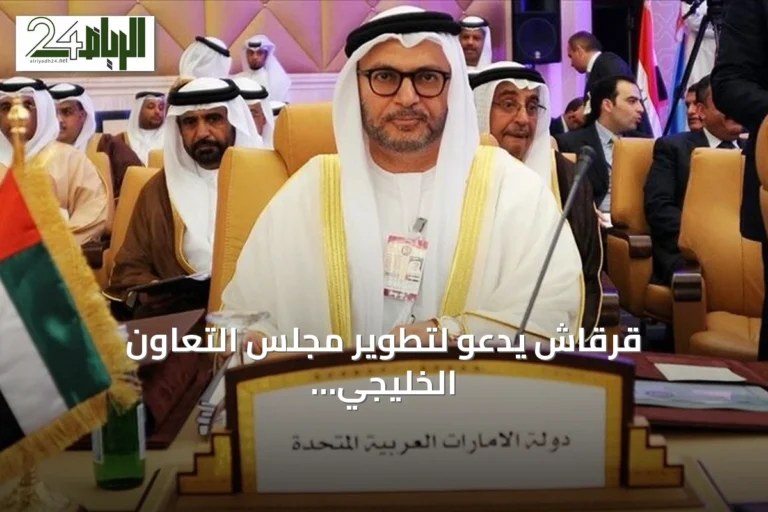 قرقاش يدعو لتطوير مجلس التعاون الخليجي كضرورة ملحة لأمن المنطقة