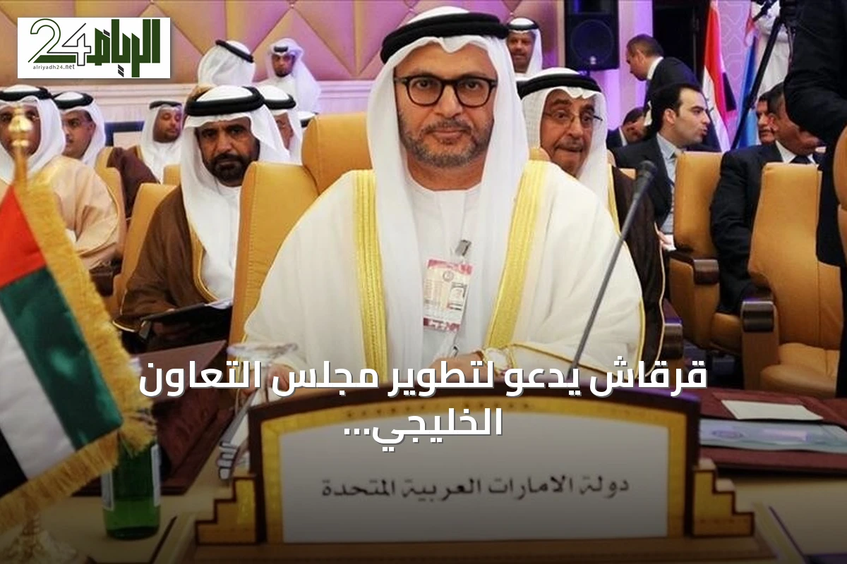 قرقاش يدعو لتطوير مجلس التعاون الخليجي كضرورة ملحة لأمن المنطقة