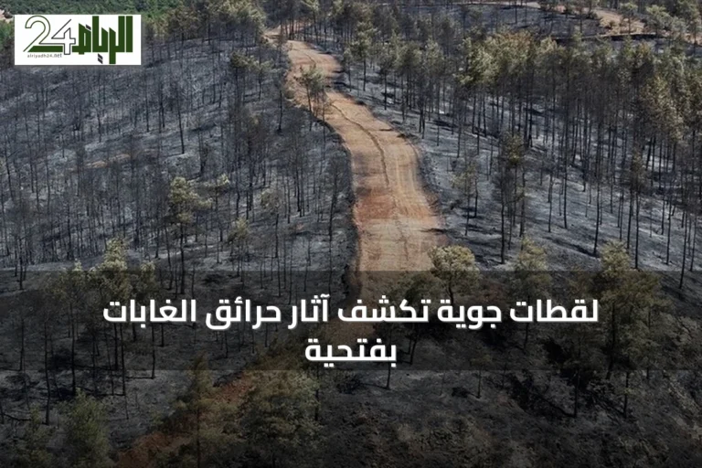 لقطات جوية تكشف آثار حرائق الغابات بفتحية