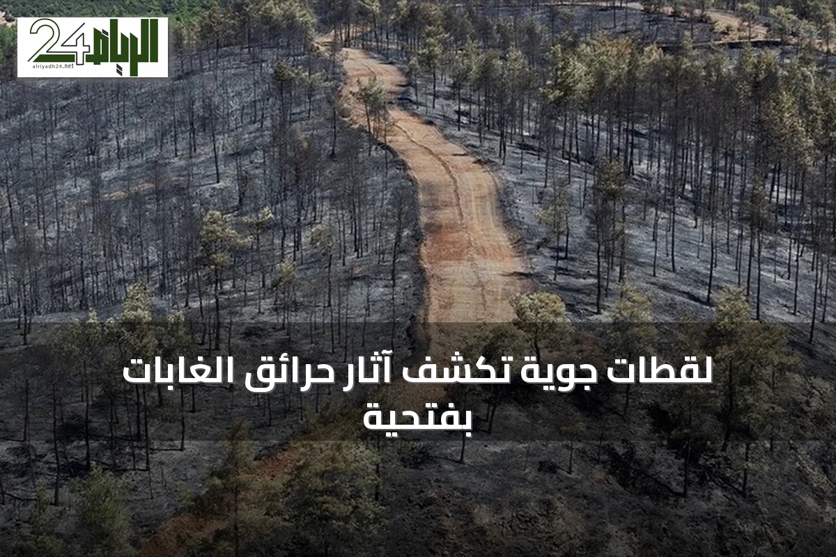 لقطات جوية تكشف آثار حرائق الغابات بفتحية