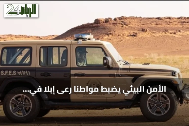 الأمن البيئي يضبط مواطنًا رعى إبلاً في مناطق محظورة بمحمية الملك عبدالعزيز الملكية