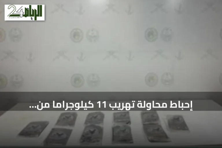 إحباط محاولة تهريب 11 كيلوجرامًا من الحشيش في قطاع الربوعة بعسير
