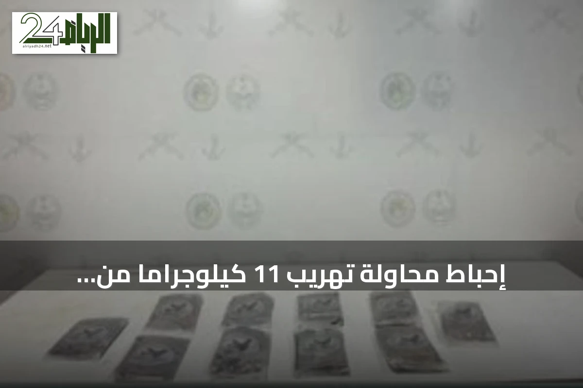 إحباط محاولة تهريب 11 كيلوجرامًا من الحشيش في قطاع الربوعة بعسير