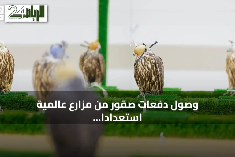 وصول دفعات صقور من مزارع عالمية استعداداً للمزاد الدولي بالرياض