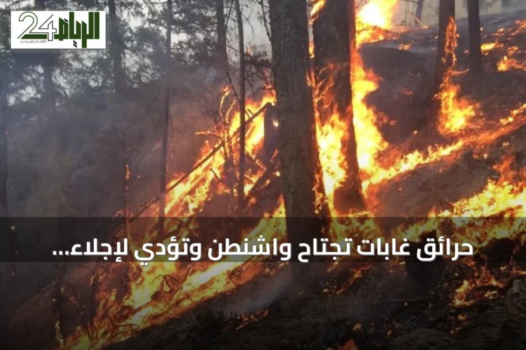 حرائق غابات تجتاح واشنطن وتؤدي لإجلاء السكان وانقطاع الكهرباء عن عشرات الآلاف