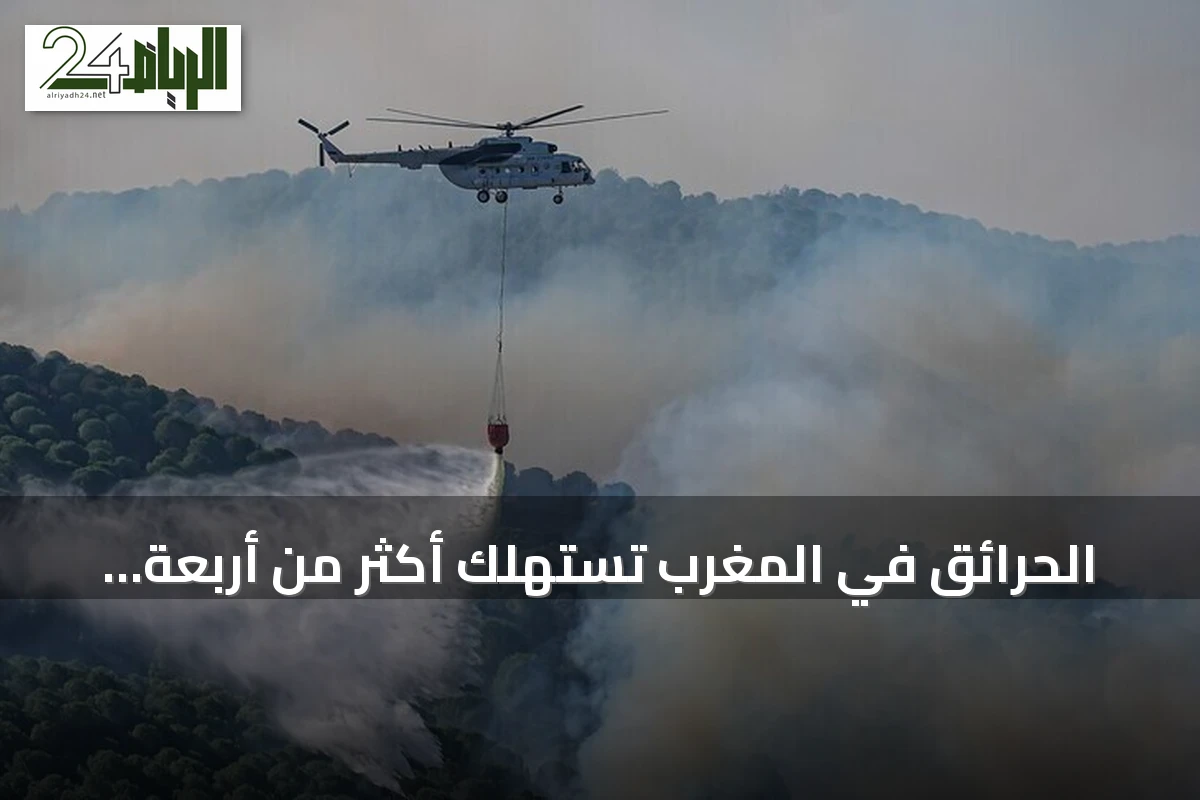 الحرائق في المغرب تستهلك أكثر من أربعة آلاف هكتار منذ بداية 2026
