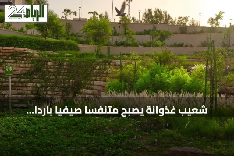 شعيب غذوانة يصبح متنفساً صيفياً بارداً ضمن مشروع الرياض الخضراء