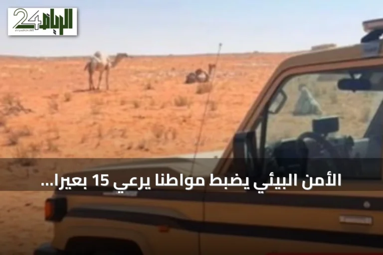 الأمن البيئي يضبط مواطنًا يرعي 15 بعيرًا في محمية الإمام تركي بن Abdullah