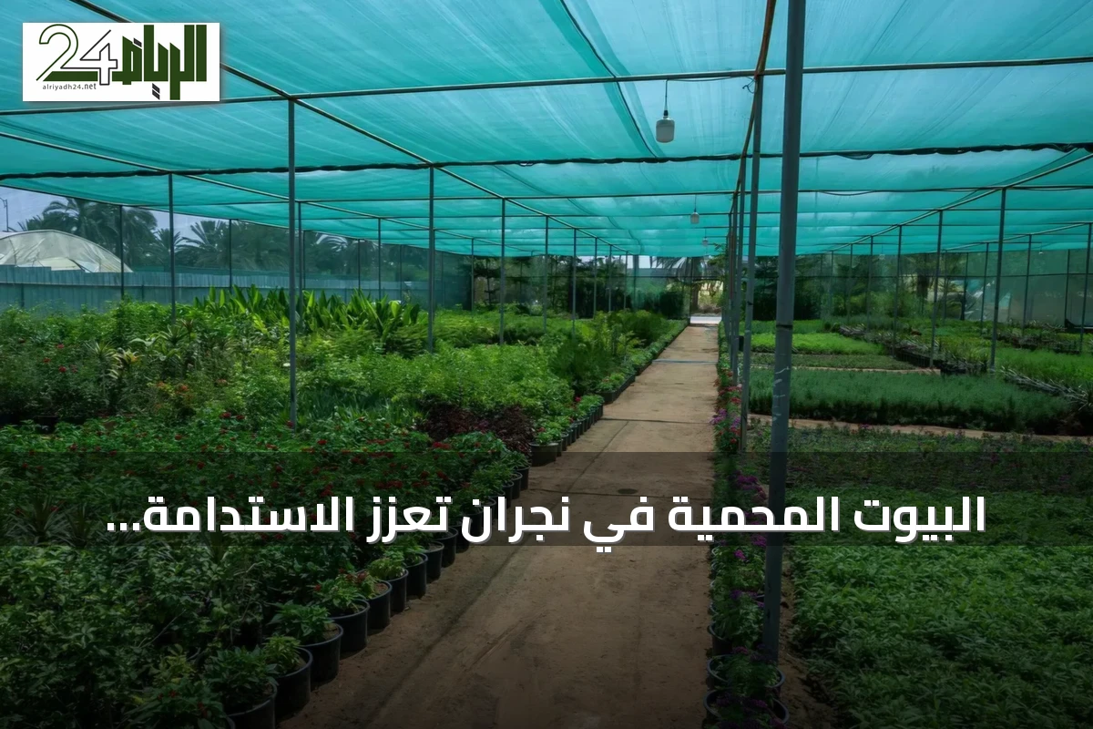 البيوت المحمية في نجران تعزز الاستدامة الزراعية وتضمن إمداداً مستمراً بالخضروات على مدار العام