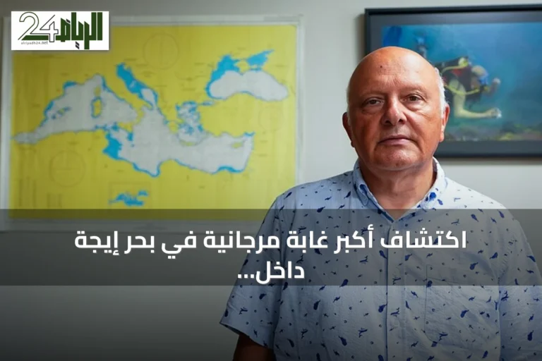 اكتشاف أكبر غابة مرجانية في بحر إيجة داخل المياه التركية