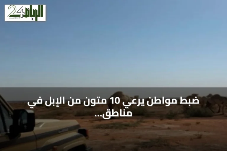 ضبط مواطن يرعي 10 متون من الإبل في مناطق محظورة بمحمية الملك عبدالعزيز الملكية