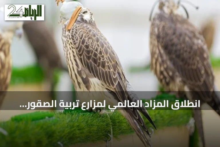 انطلاق المزاد العالمي لمزارع تربية الصقور 2026 بمشاركة محلية ودولية في الرياض