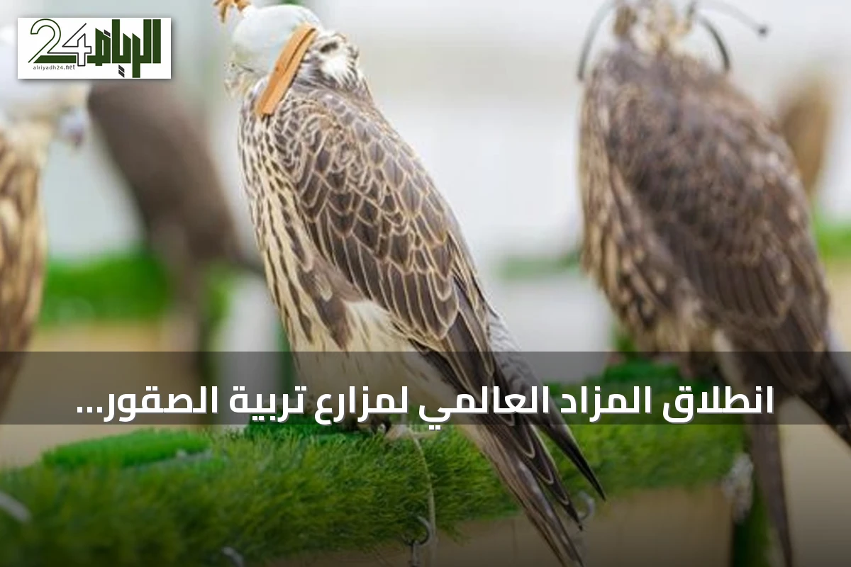 انطلاق المزاد العالمي لمزارع تربية الصقور 2026 بمشاركة محلية ودولية في الرياض