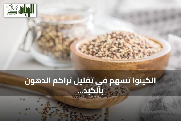 الكينوا تسهم في تقليل تراكم الدهون بالكبد وتحسّن مؤشرات الأيض