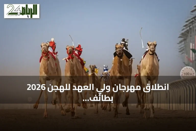 انطلاق مهرجان ولي العهد للهجن 2026 بطائف مع 248 شوطًا وجوائز تتجاوز خمسين مليون ريال