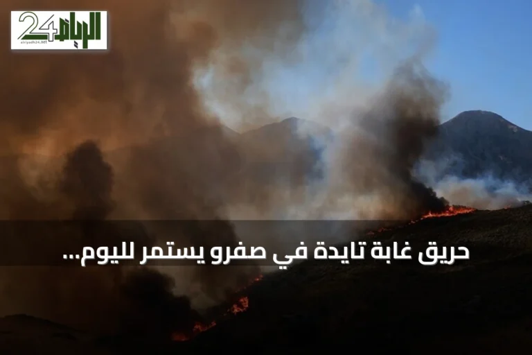 حريق غابة تايدة في صفرو يستمر لليوم الخامس ويهدد 120 هكتارًا