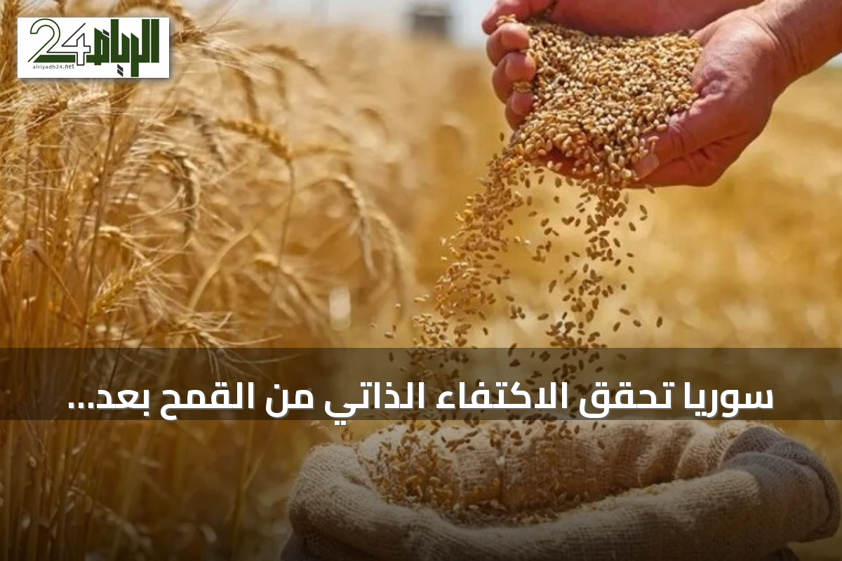 سوريا تحقق الاكتفاء الذاتي من القمح بعد سنوات من العجز