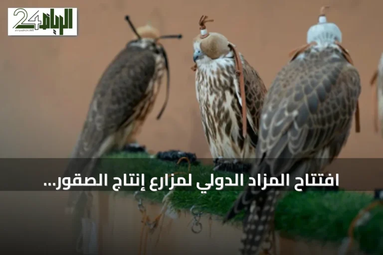 افتتاح المزاد الدولي لمزارع إنتاج الصقور بمشاركة نخبة من المنتجين