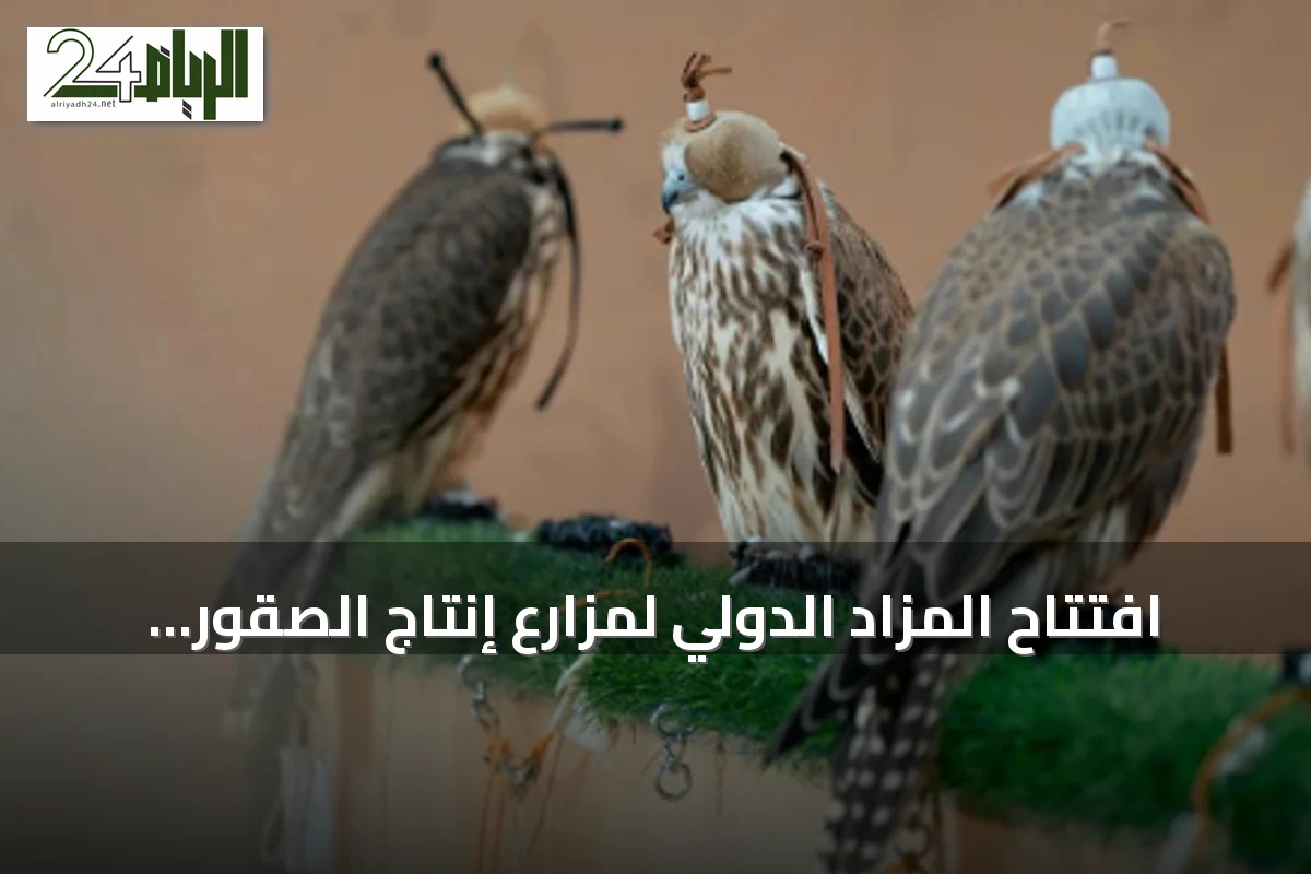 افتتاح المزاد الدولي لمزارع إنتاج الصقور بمشاركة نخبة من المنتجين