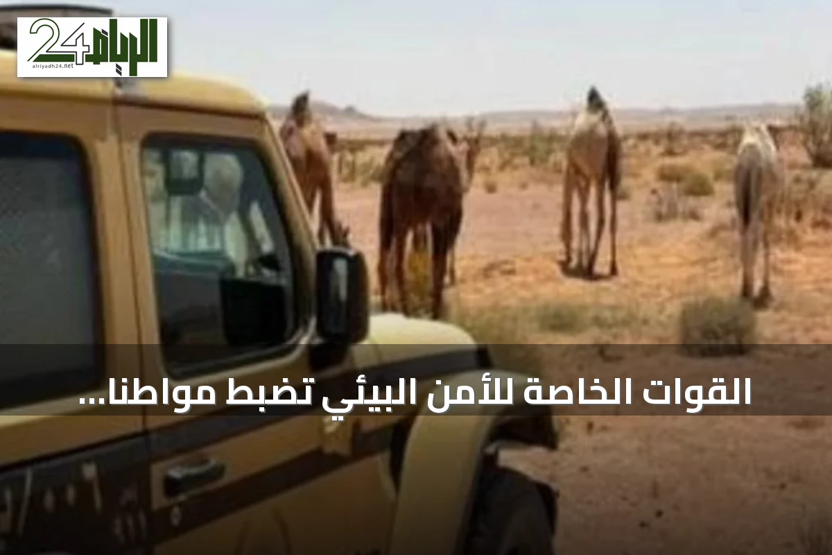 القوات الخاصة للأمن البيئي تضبط مواطنًا رعى 30 متنًا من الإبل في مواقع محظورة بمحمية الملك عبدالعزيز الملكية