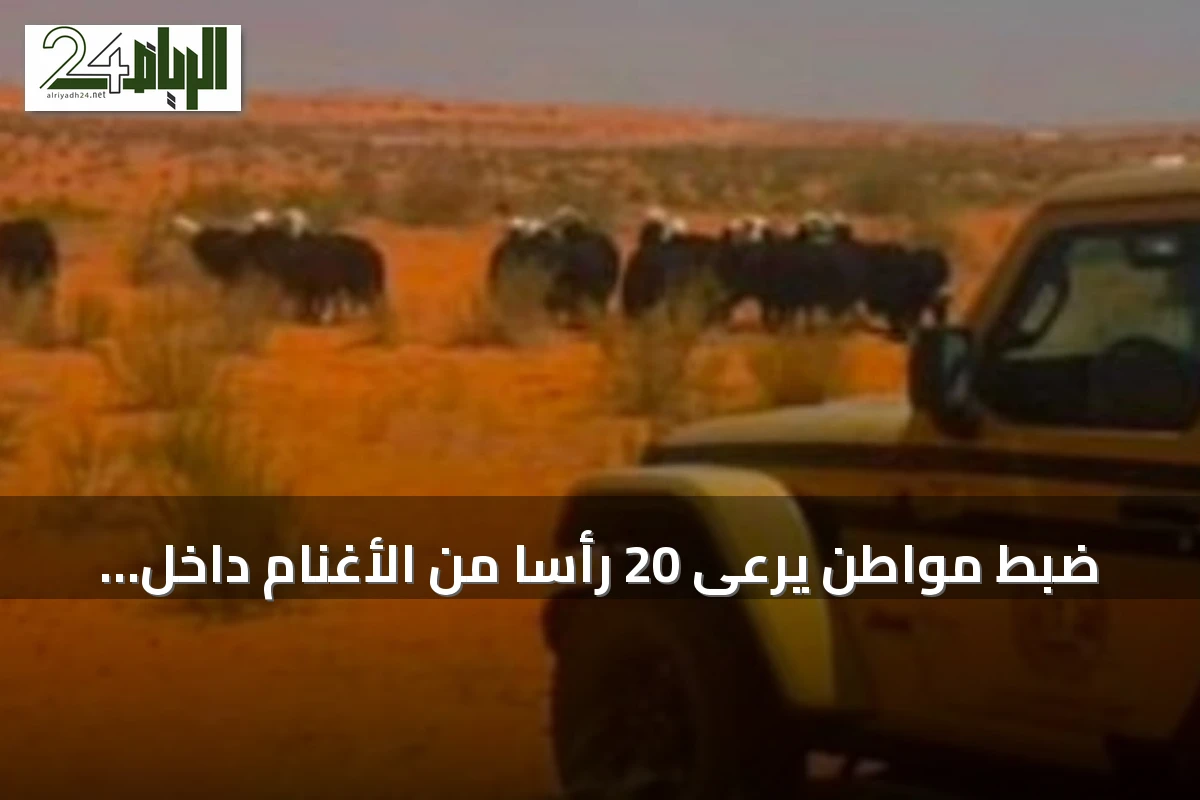 ضبط مواطن يرعى 20 رأسًا من الأغنام داخل محمية الإمام تركي بن عبدالله