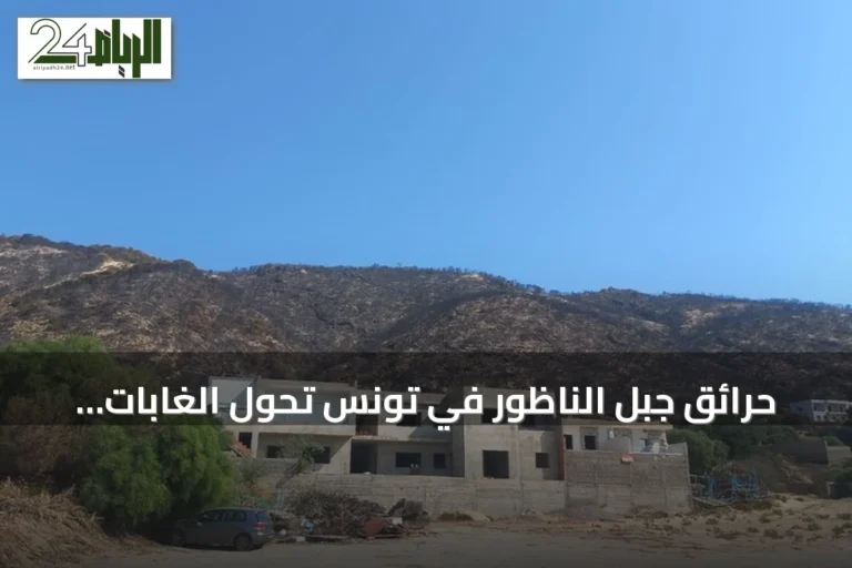 حرائق جبل الناظور في تونس تحوّل الغابات الخضراء إلى سواد ورماد