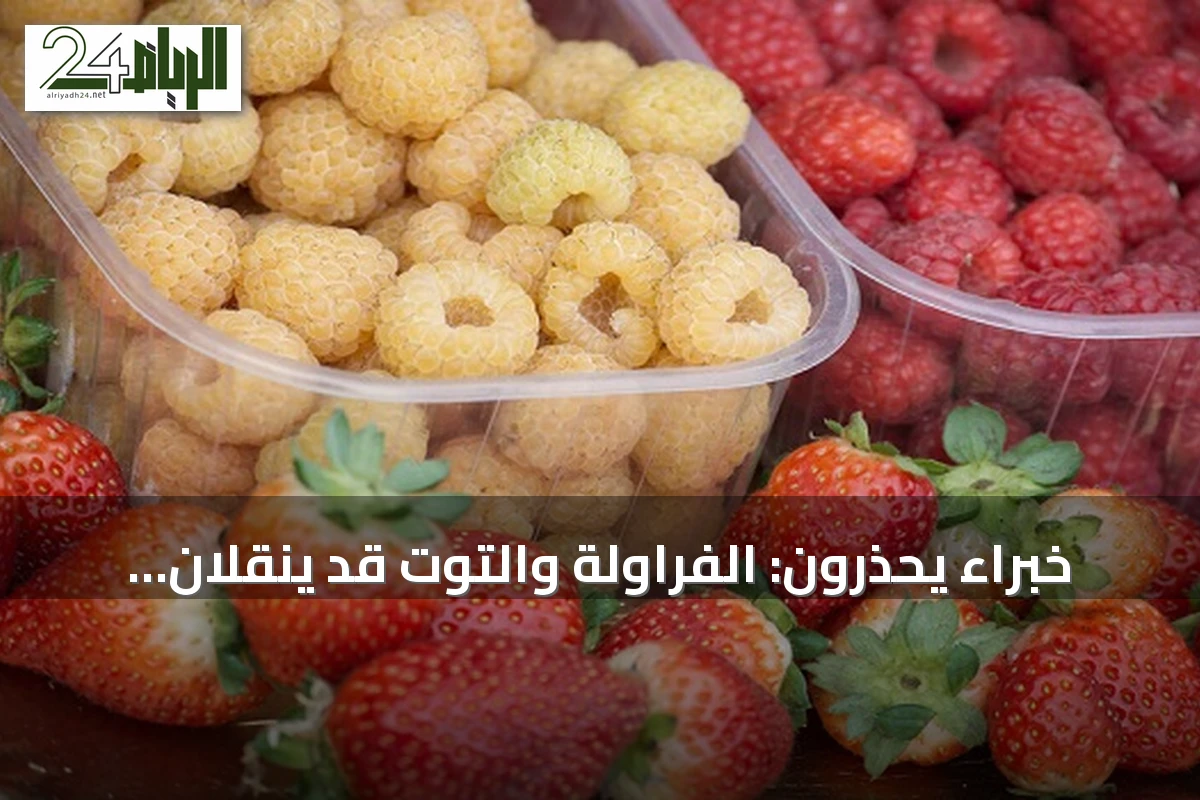 خبراء يحذرون: الفراولة والتوت قد ينقلان طفيلياً يسبب إسهالاً حاداً