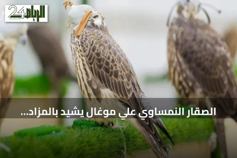 الصقار النمساوي علي موغال يشيد بالمزاد الدولي للصقور ودوره في تعزيز ثقة المزارع الأوروبية