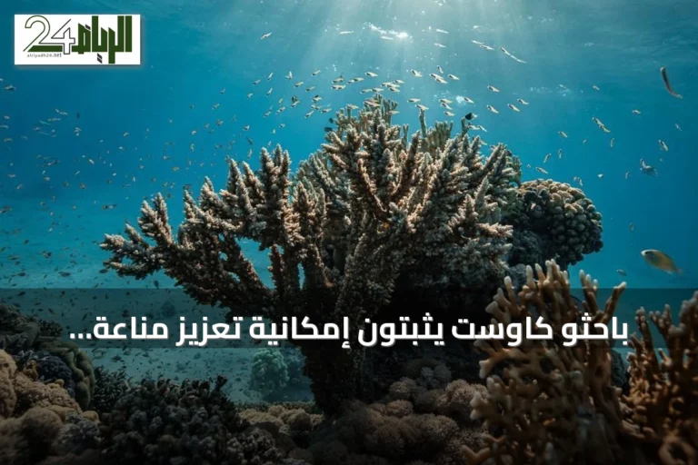 باحثو كاوست يثبتون إمكانية تعزيز مناعة المرجان ضد الأمراض