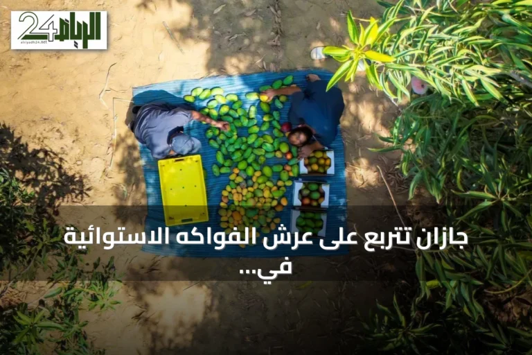 جازان تتربع على عرش الفواكه الاستوائية في المملكة بأكثر من مليوني شجرة