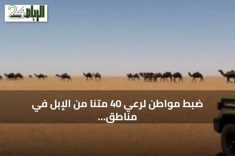 ضبط مواطن لرعي 40 متنًا من الإبل في مناطق محظورة بمحمية الإمام تركي بن عبدالله الملكية