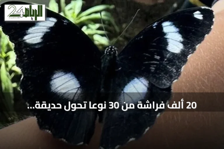 20 ألف فراشة من 30 نوعاً تحوّل حديقة أنطاليا إلى وجهة سياحية استوائية