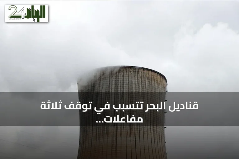 قناديل البحر تتسبب في توقف ثلاثة مفاعلات نووية في فرنسا