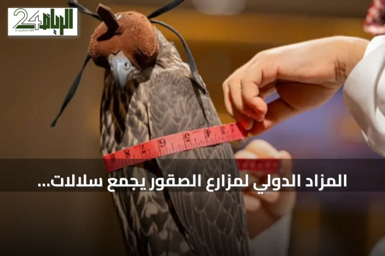 المزاد الدولي لمزارع الصقور يجمع سلالات ومدارس إنتاج من مختلف أنحاء العالم في الرياض