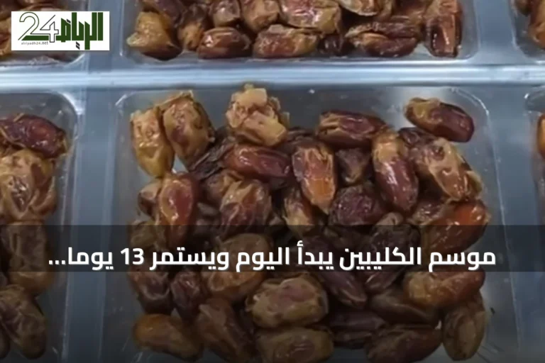 موسم الكليبين يبدأ اليوم ويستمر 13 يومًا مع نضج التمور