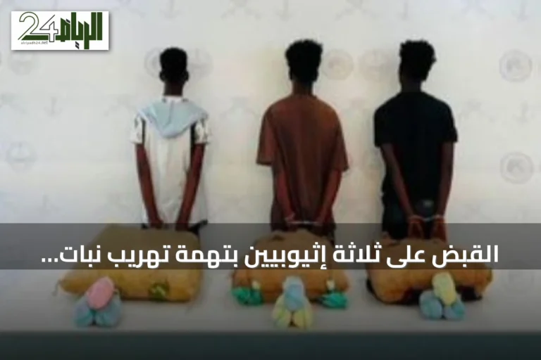 القبض على ثلاثة إثيوبيين بتهمة تهريب نبات القات في عسير