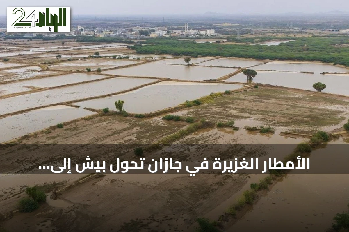 الأمطار الغزيرة في جازان تحوّل بيش إلى وجهة سياحية خضراء