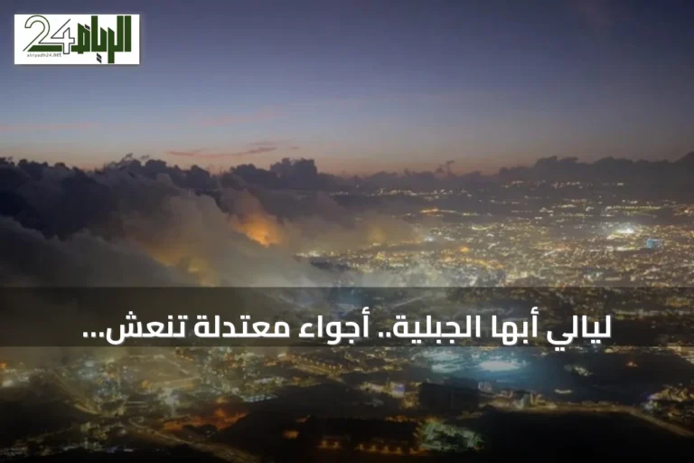 ليالي أبها الجبلية.. أجواء معتدلة تنعش السياحة وتستقطب الزوار