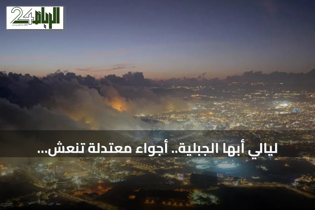 ليالي أبها الجبلية.. أجواء معتدلة تنعش السياحة وتستقطب الزوار