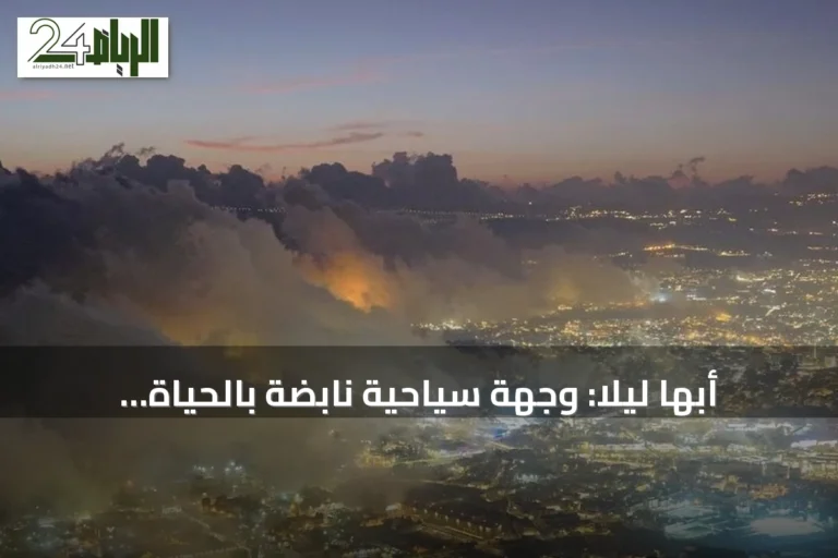 أبها ليلاً: وجهة سياحية نابضة بالحياة تجمع بين الطبيعة والترفيه