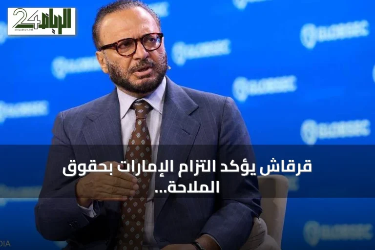 قرقاش يؤكد التزام الإمارات بحقوق الملاحة في مضيق هرمز عبر القانون الدولي والحوار الخليجي